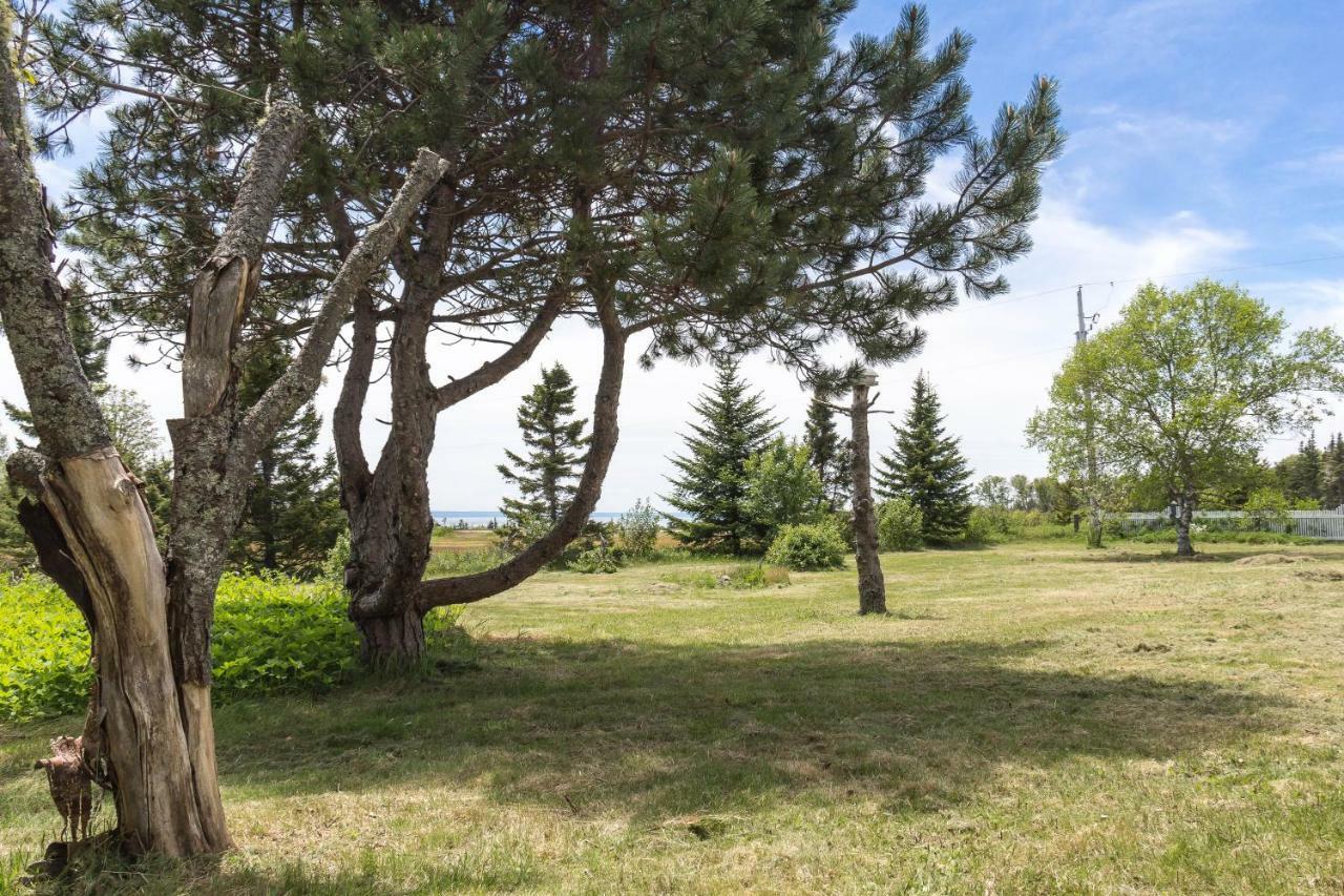 Fox Point Inn Parrsboro Kültér fotó